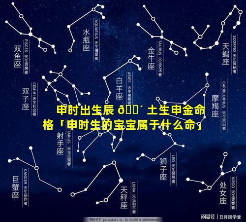 申时出生辰 🌴 土生申金命格「申时生的宝宝属于什么命」